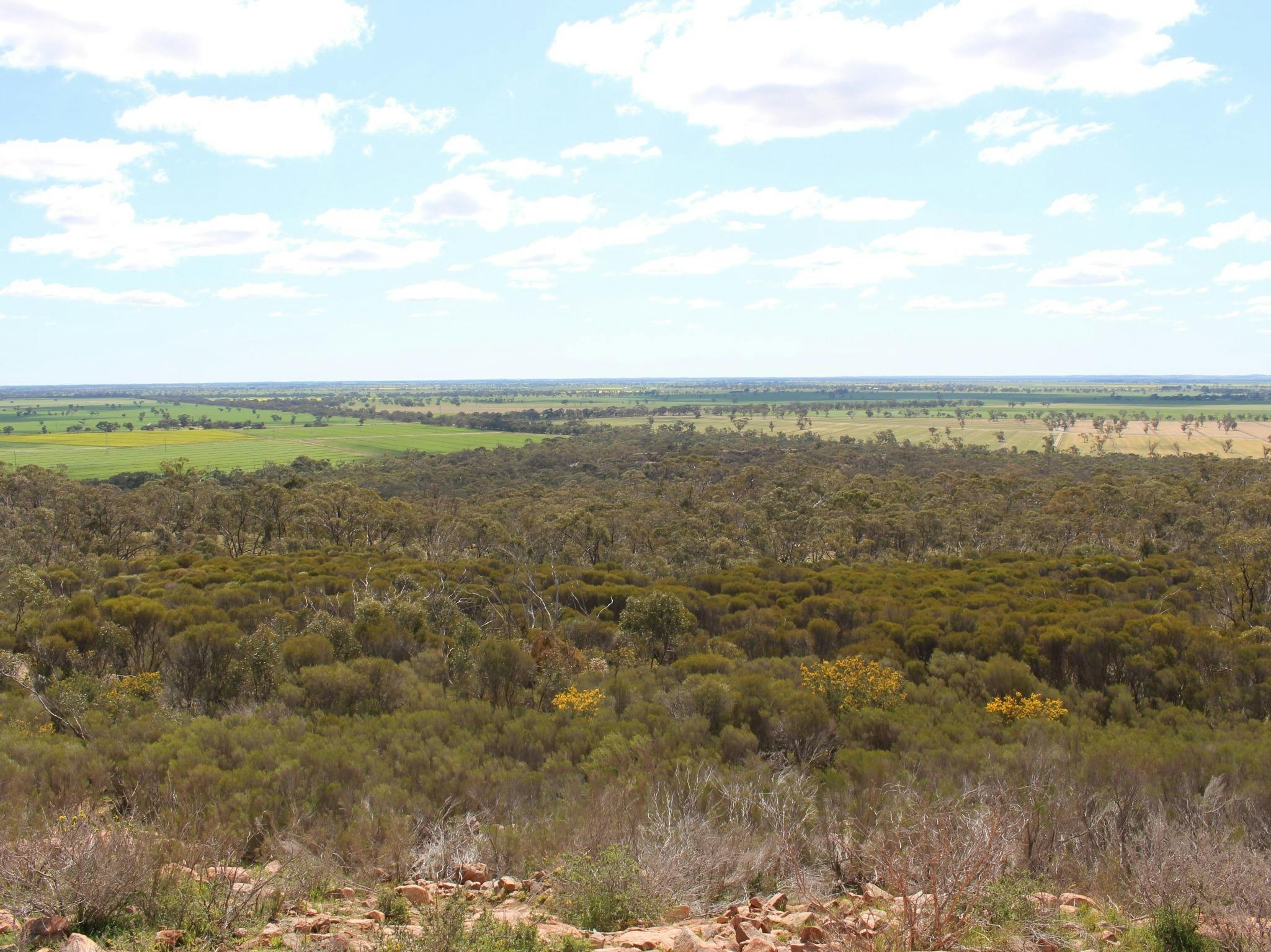 Mount Monster Conservation Park