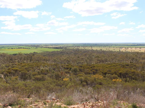 Mount Monster Conservation Park