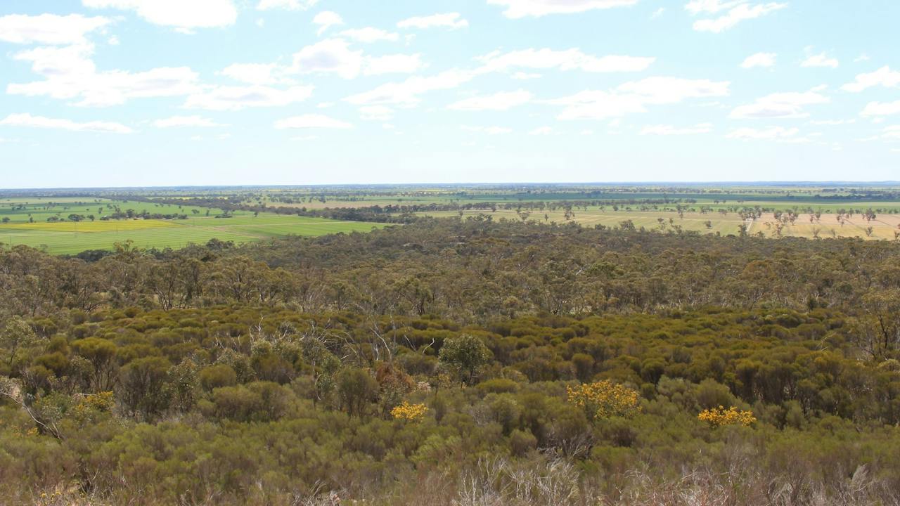 Mount Monster Conservation Park
