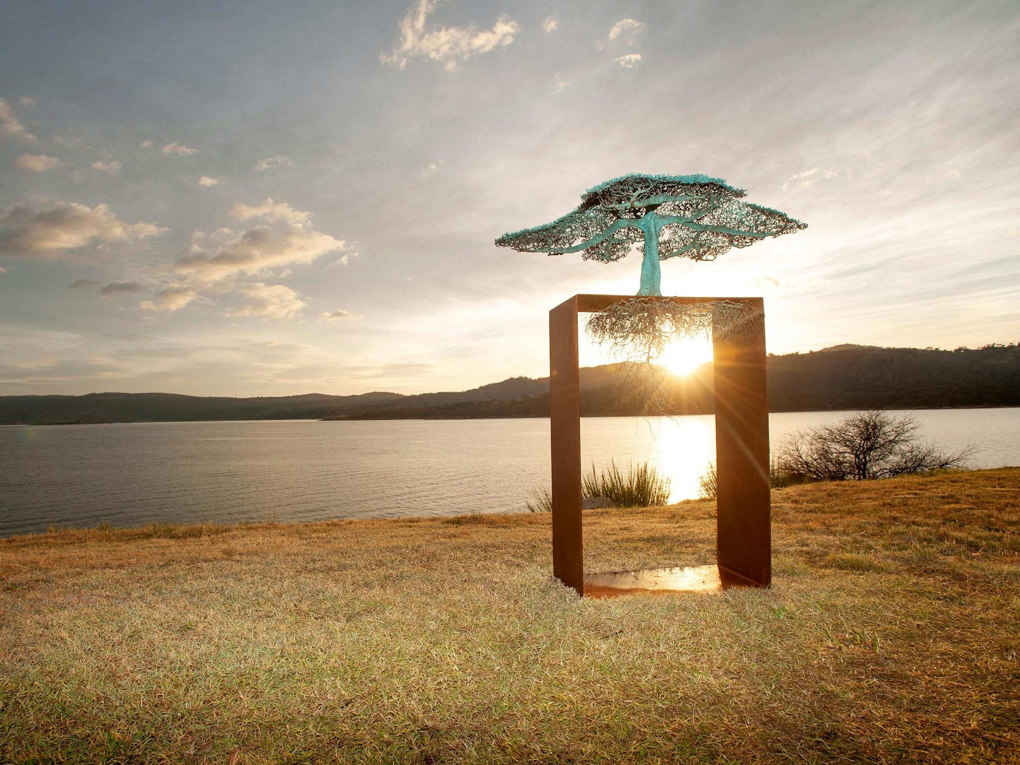 A metal tree sculpture in a square frame, with intricate branches and suspended roots.