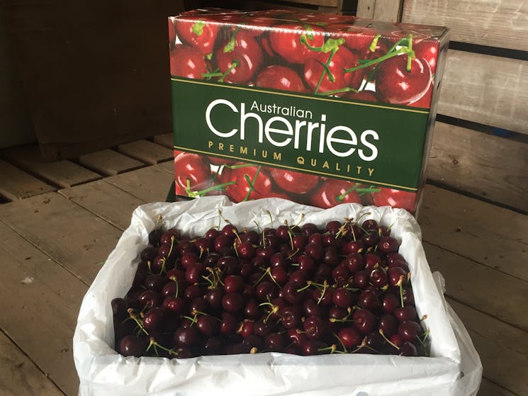 Cherries