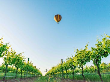 Balloon Aloft Mudgee