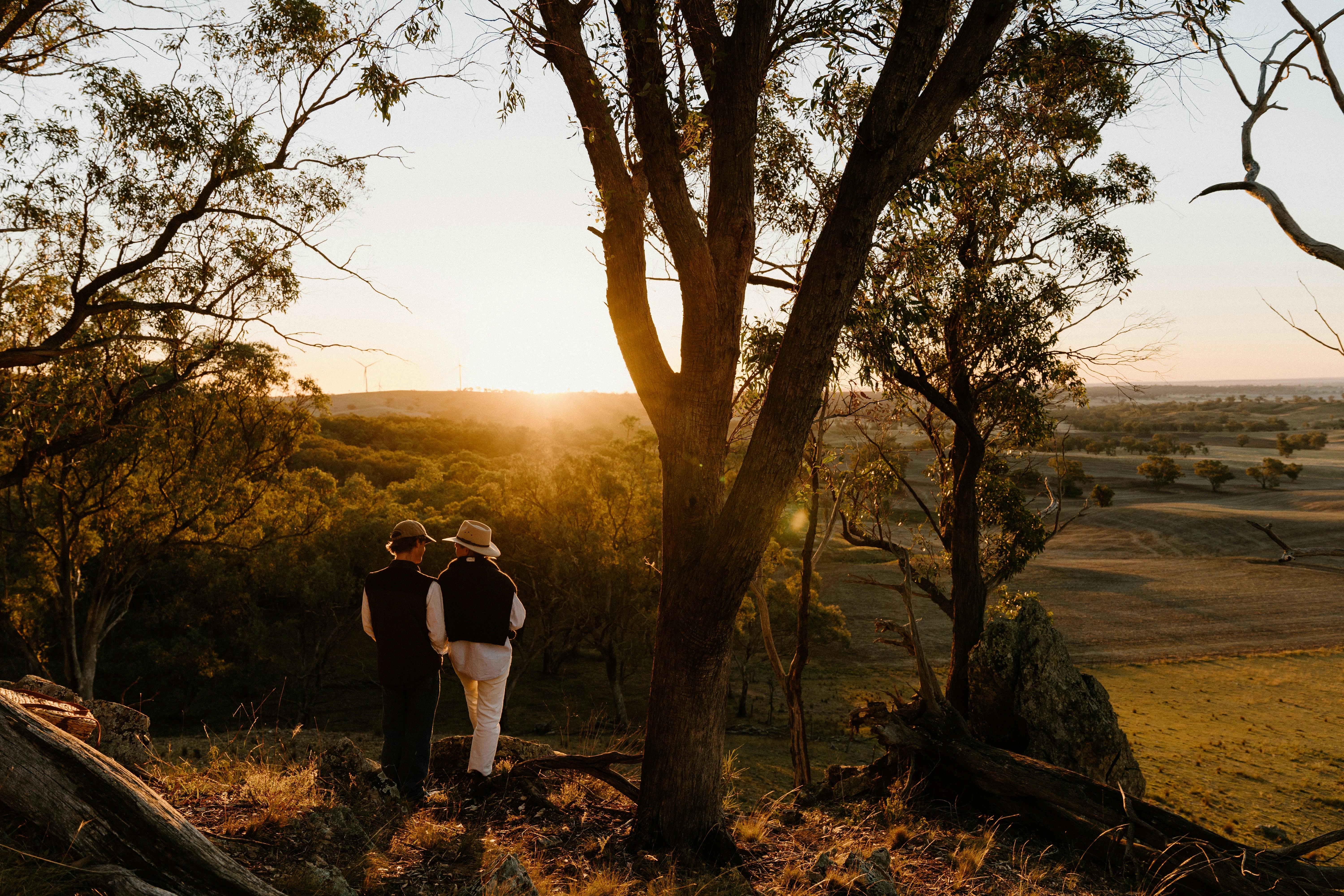 Exploring the property