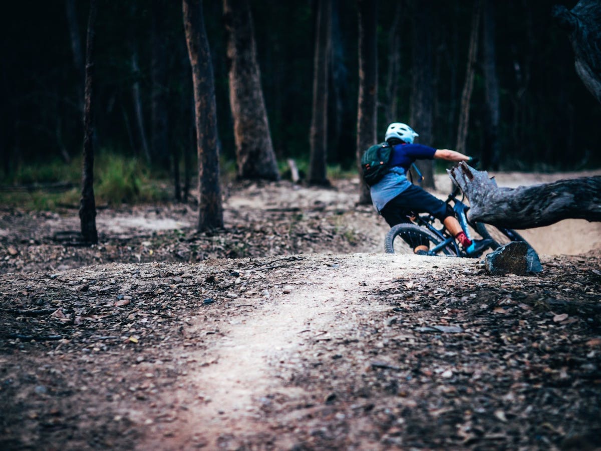 Nerang Mountain Bike Trails - Attraction - Queensland