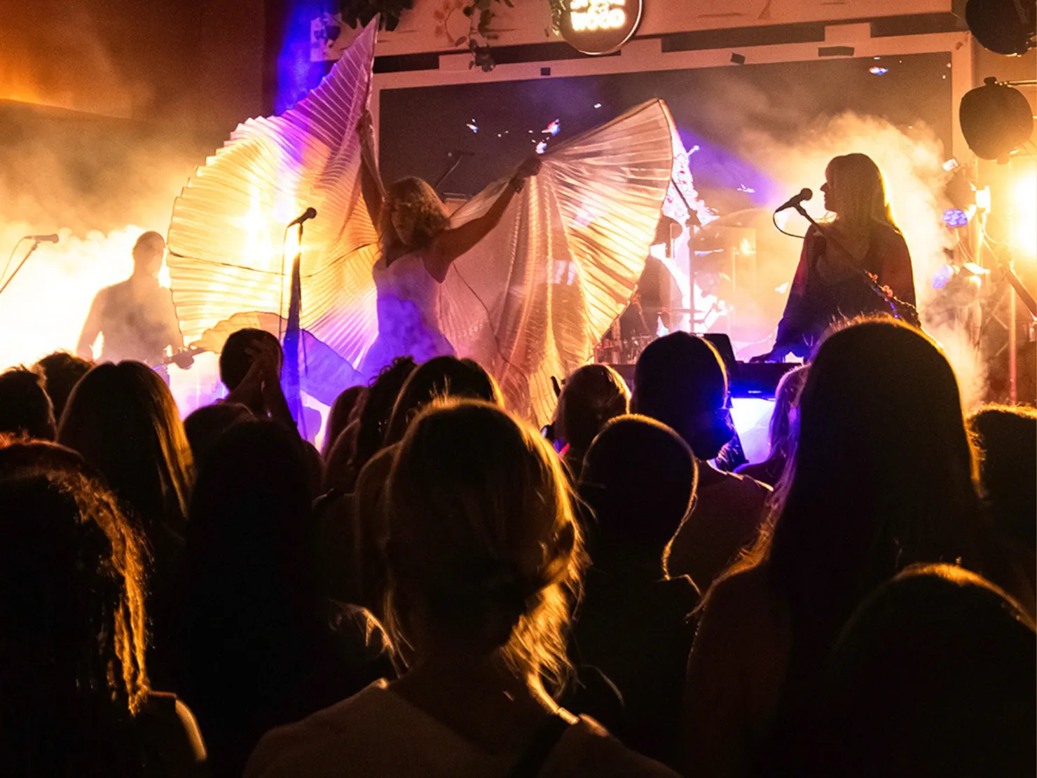 A image taken from the crowd perspective, looking toward the stage.