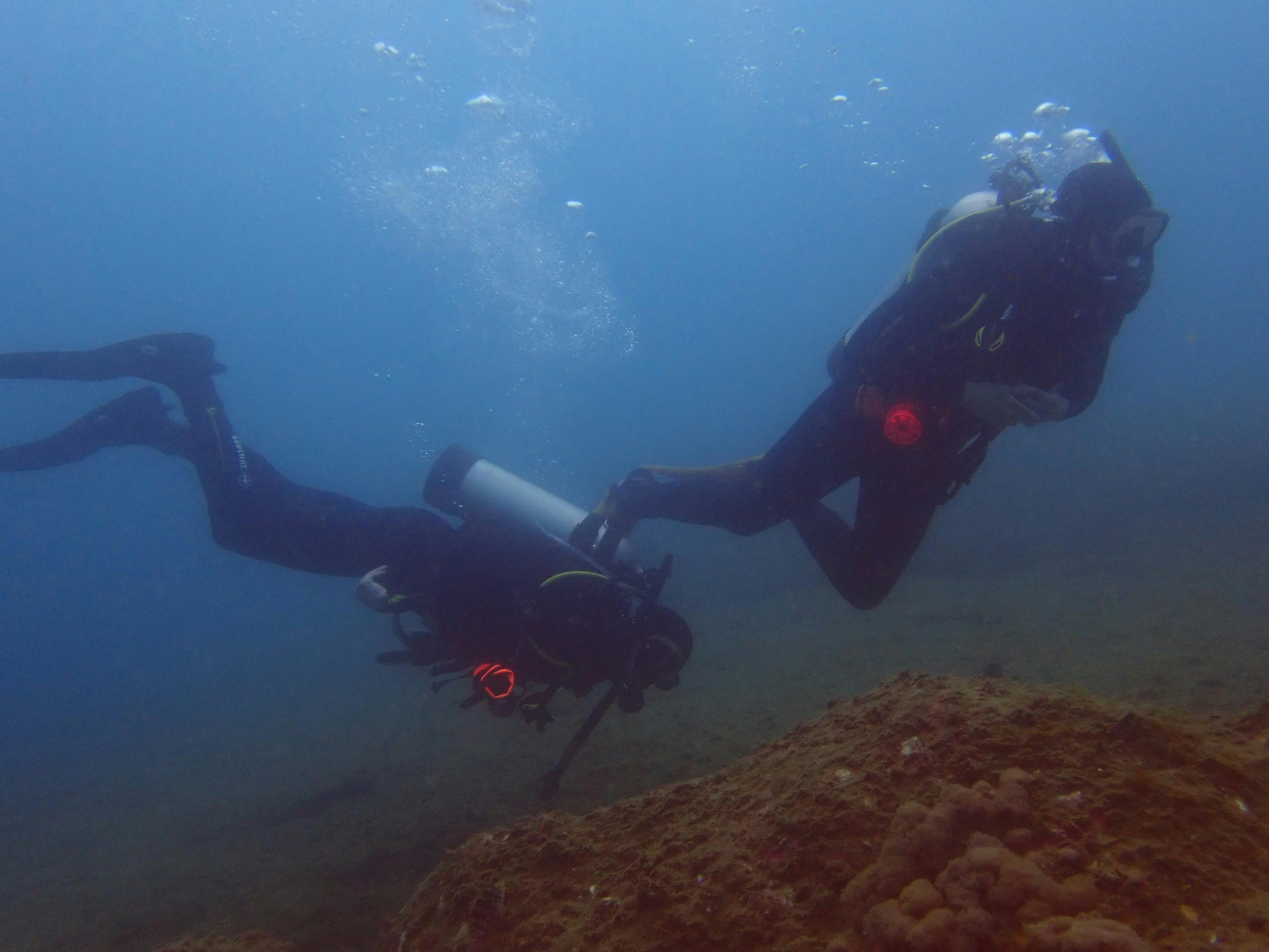 Tweed River Dive Site