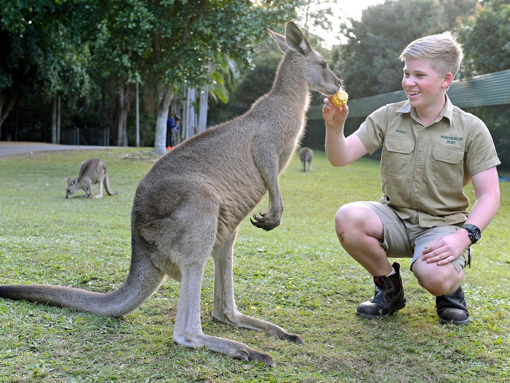 Australia Zoo - BIG4 Caloundra Holiday Park