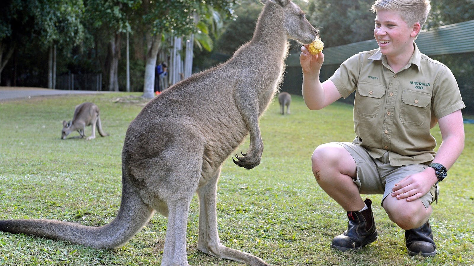 Robert Irwin with a kangaroo at Australia Zoo