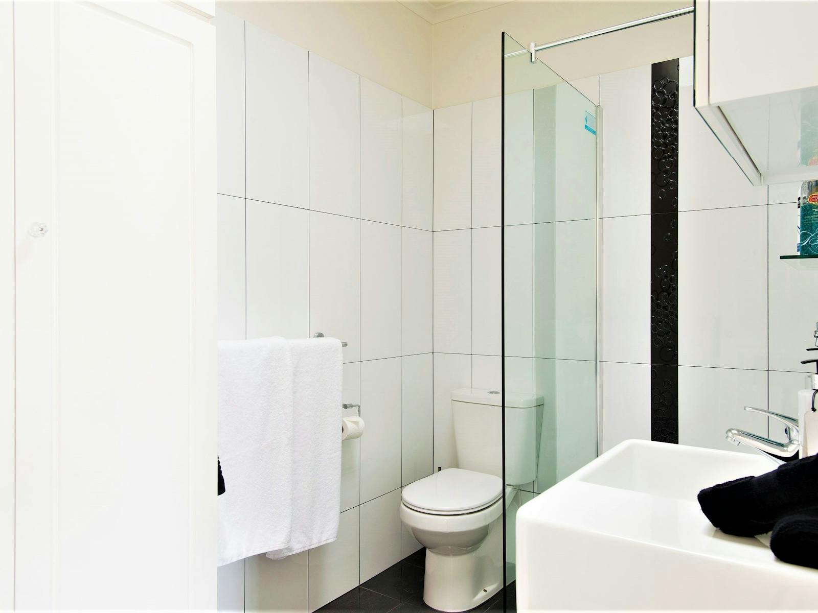 walk in shower, hand rails.