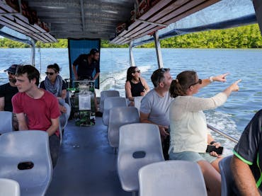 Special Family Rate - Half Day Daintree Tour Daintree Discovery Tours Special Family Rate - Half Day Daintree Tour Daintree Discovery Tours