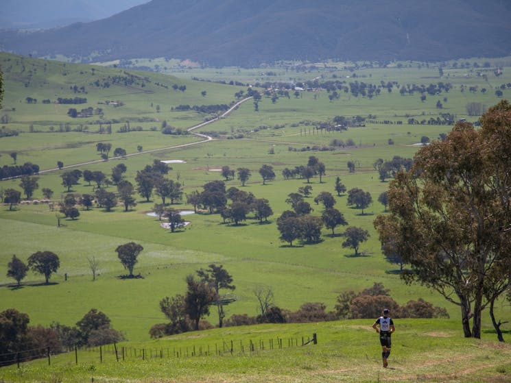 Running - Upper Murray Challenge - Murray Valley and rolling hills in background