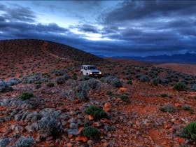 Wowee 4WD track