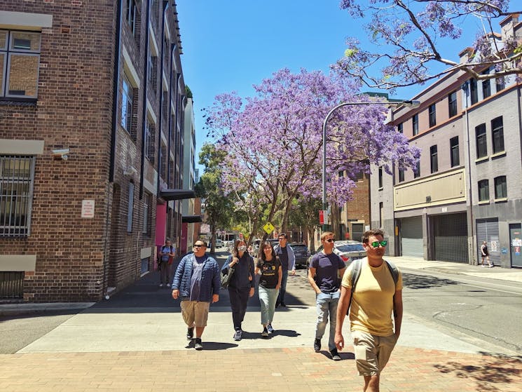 Wander back streets of Glebe and hear stories of the area