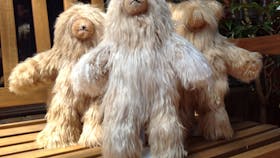 Australian Alpaca Barn - Pokolbin