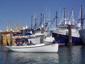 Fred's Marina Canal Cruise