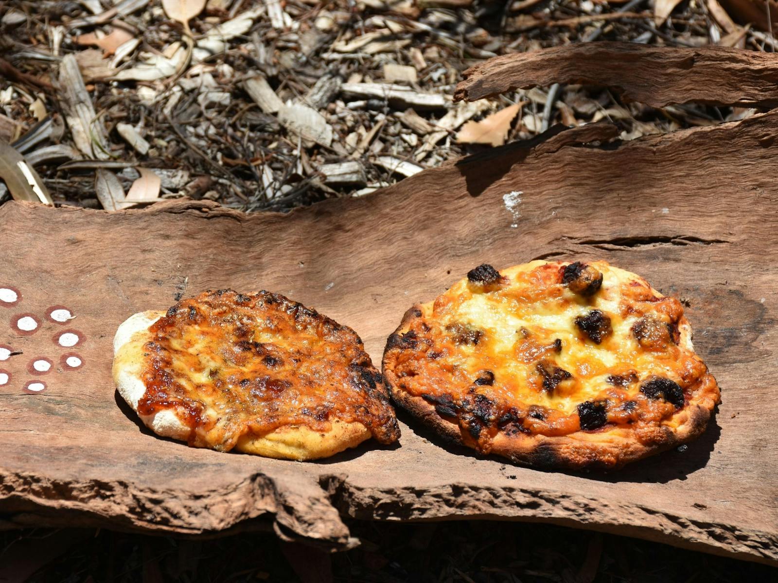 Image for Pizza Party in the Bush