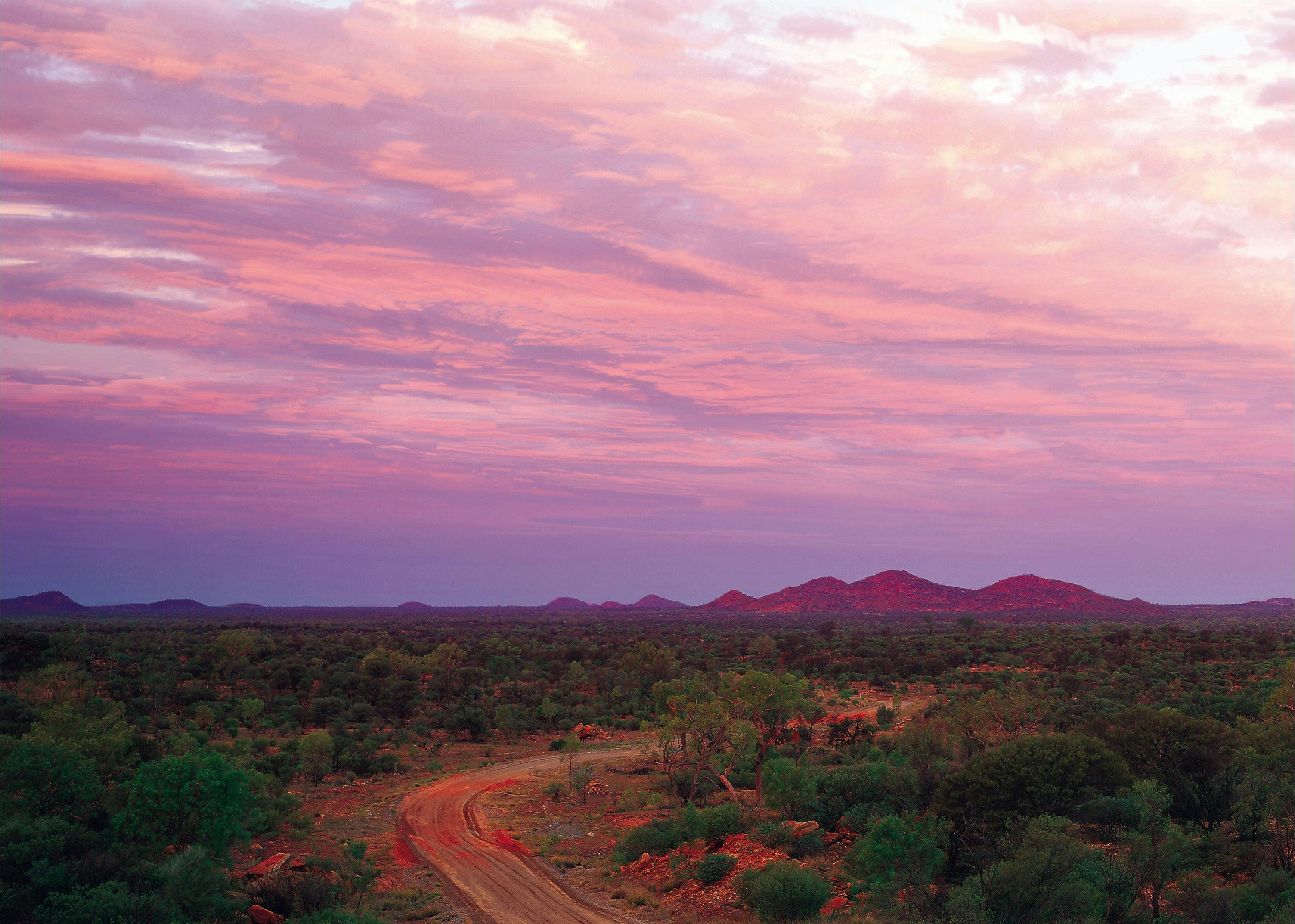 Bond Springs Outback Retreat