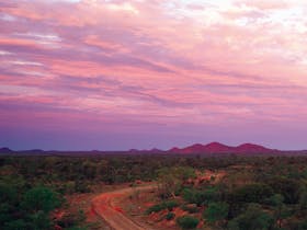 Bond Springs Outback Retreat