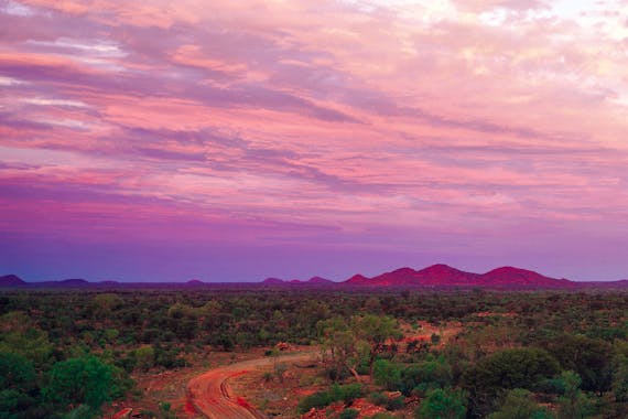 Bond Springs Outback Retreat