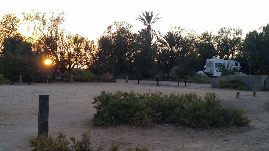 SITE