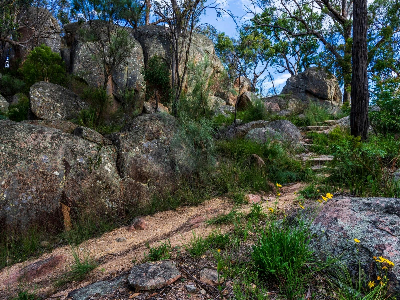 Granite Belt Motel Granite Belt Wine Country