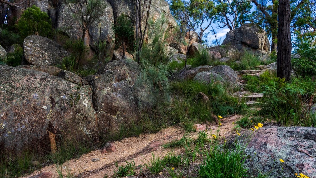 Sentimental Rocks - 2 mins walk, enjoy a 20 min walk through this granite rock outcrop