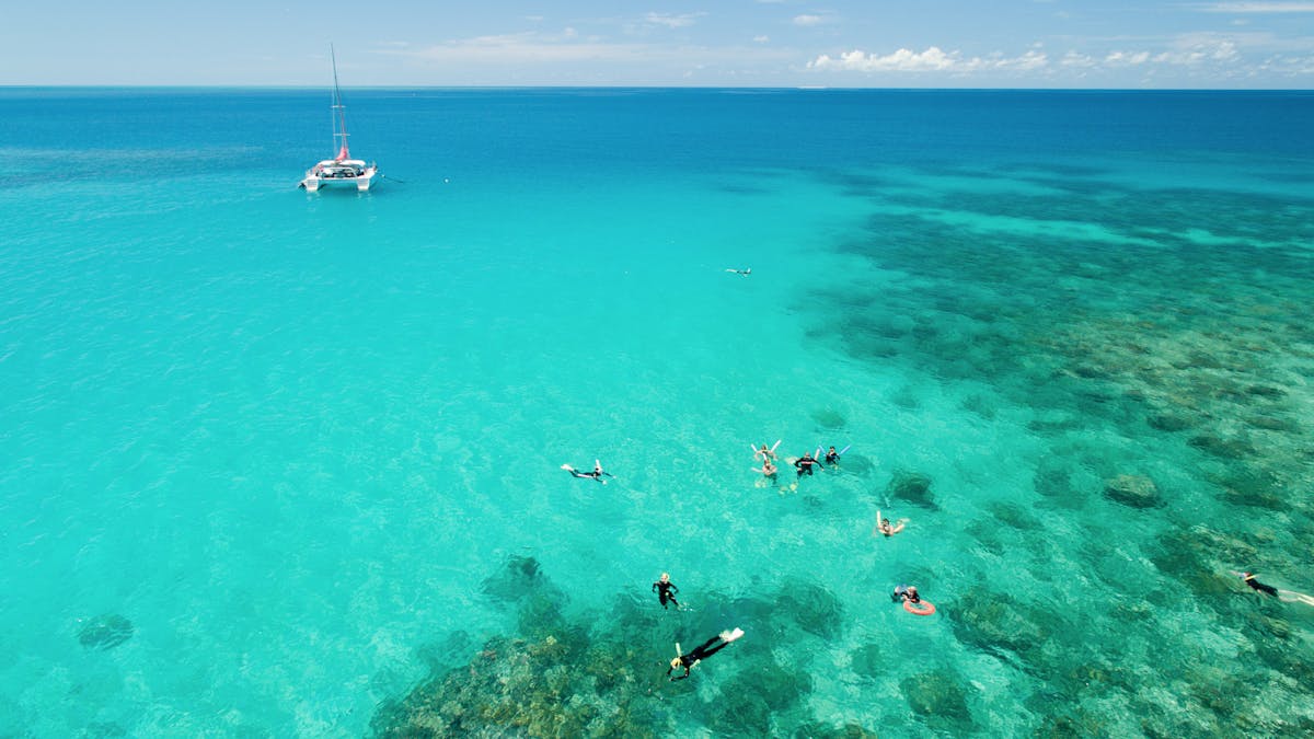 Exclusive snorkelling at Upolu Reef