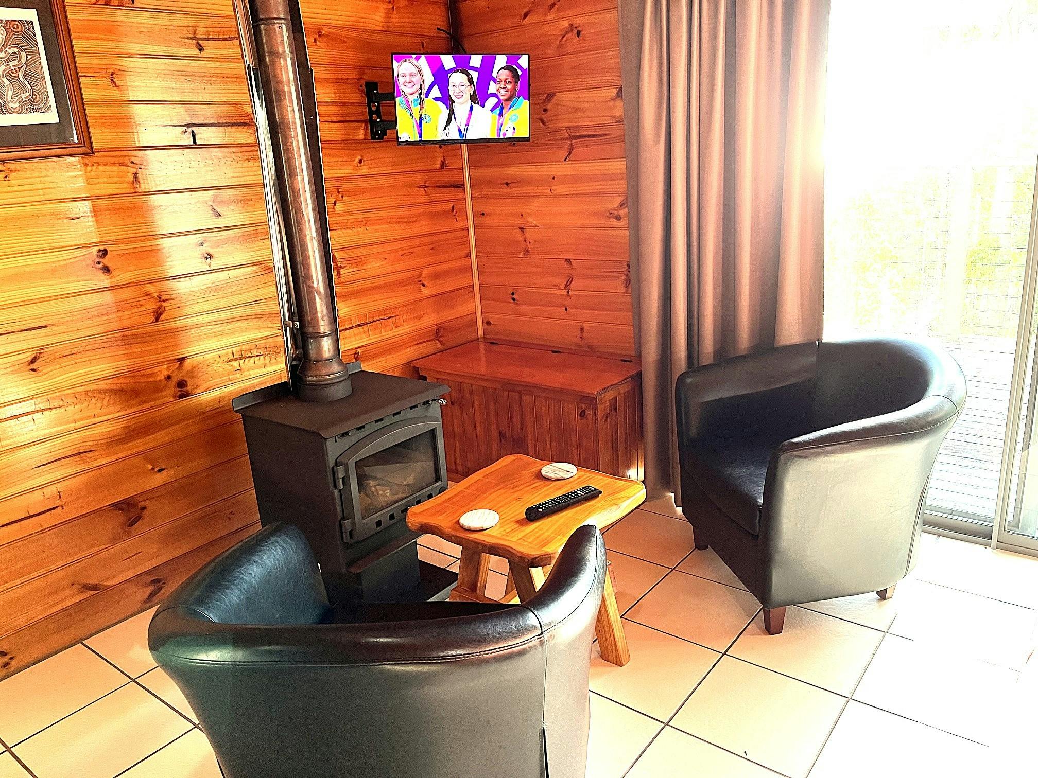 tv and wood fire heater