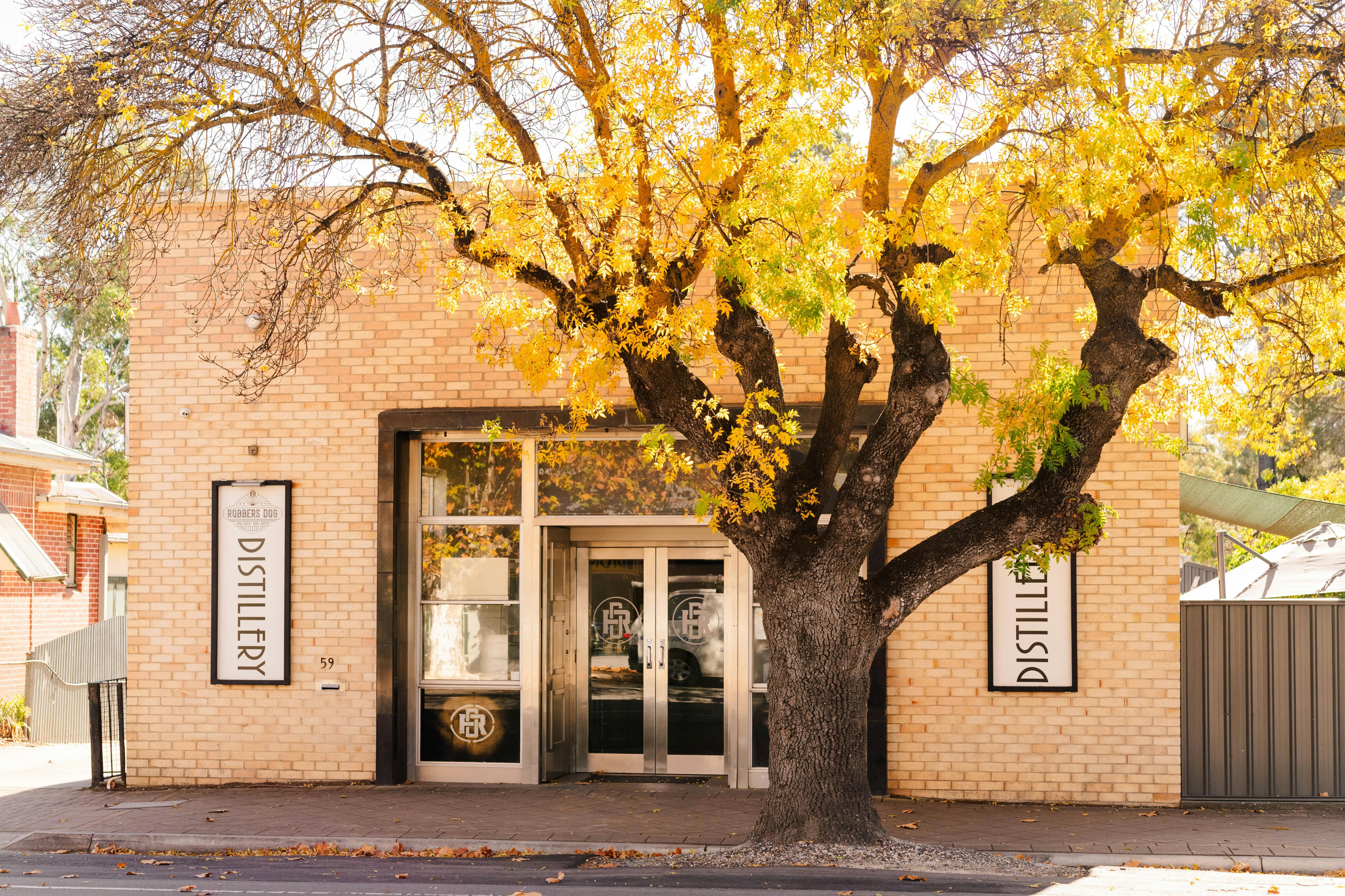 Robbers Dog Cellar Door