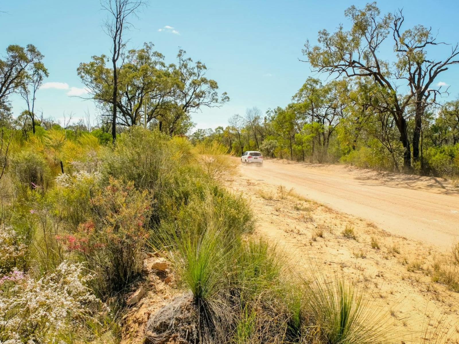 Four wheel drive recommended for this self drive tour. Four wheel drive recommended for this self drive tour.