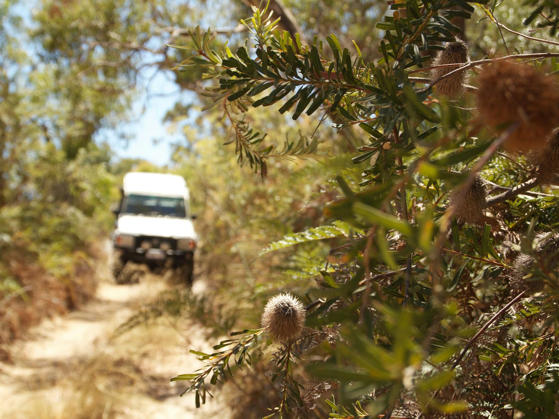 Thrilling off-road locations exclusive to Off Piste 4WD Tours