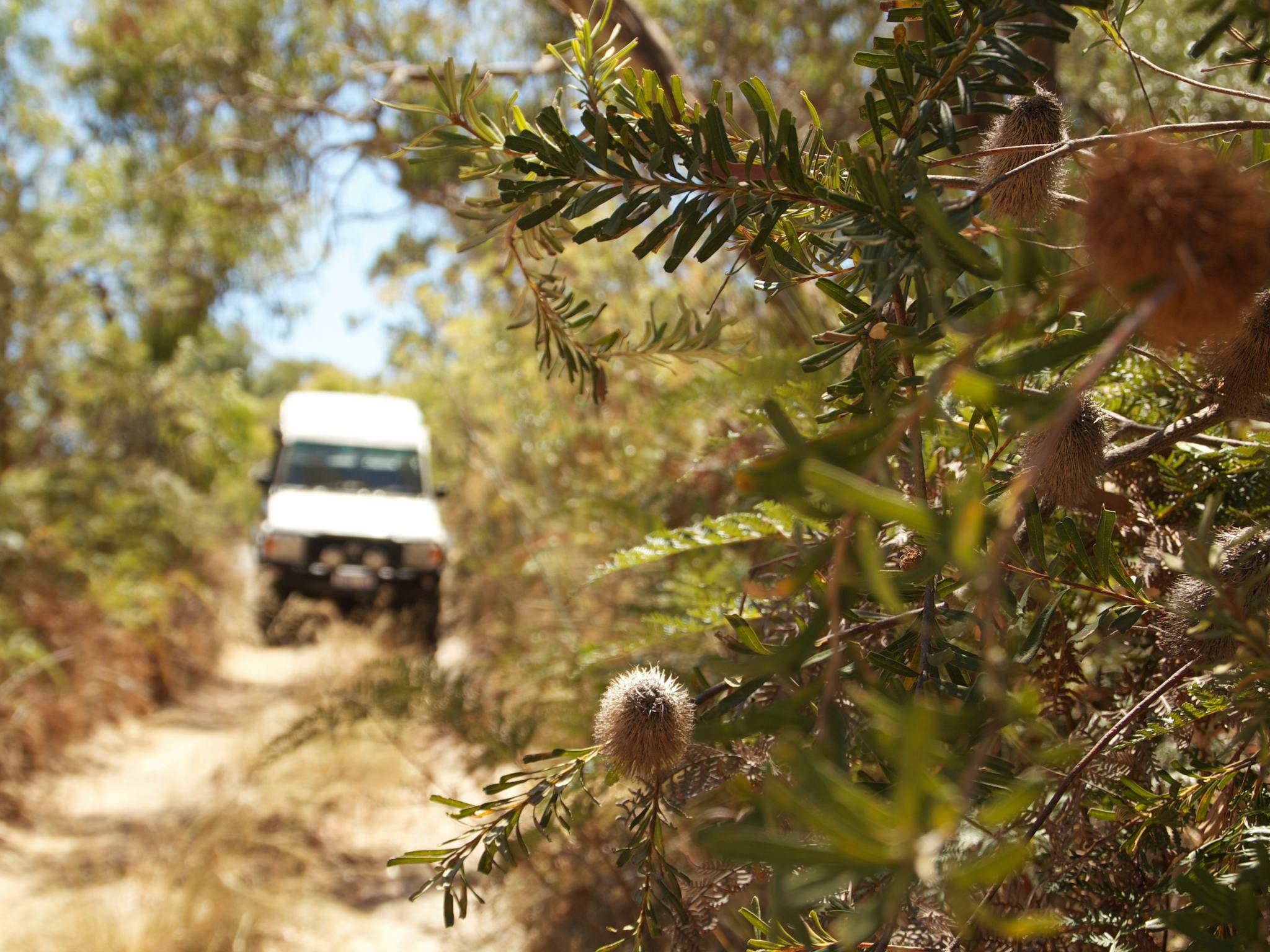 Thrilling off-road locations exclusive to Off Piste 4WD Tours