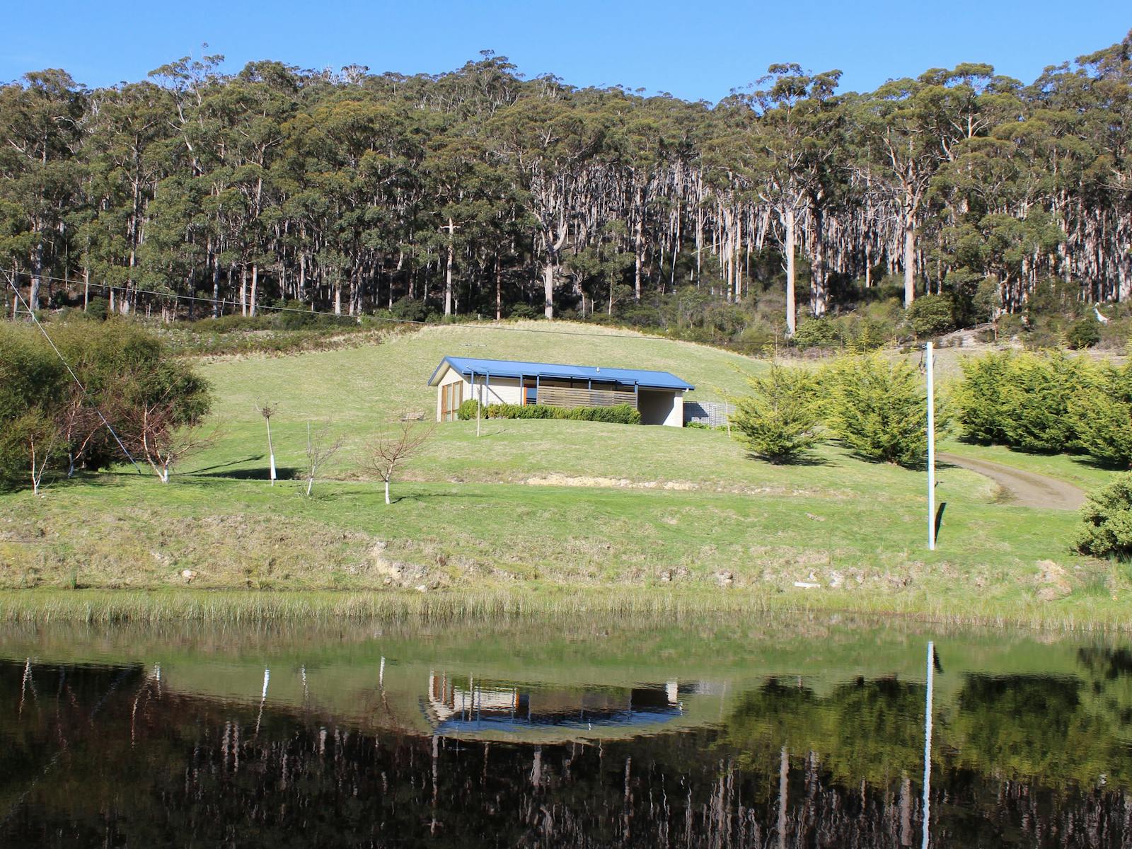 Cherryview Studio from across the water with forest behind