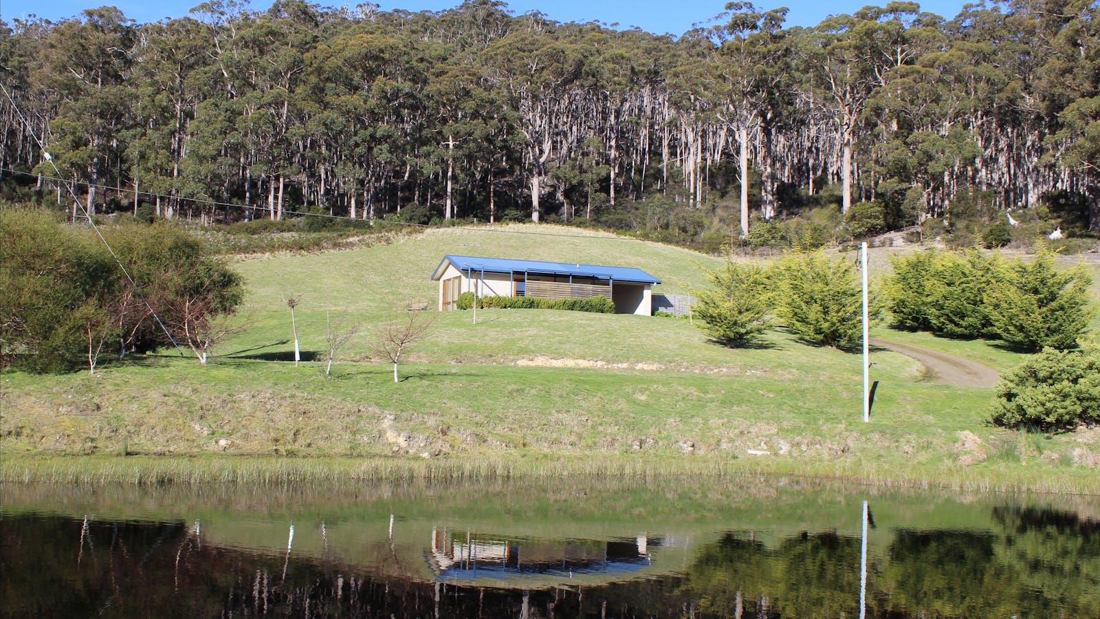 The Cherryview Studio is positioned between a native forest a dam populated with frogs.