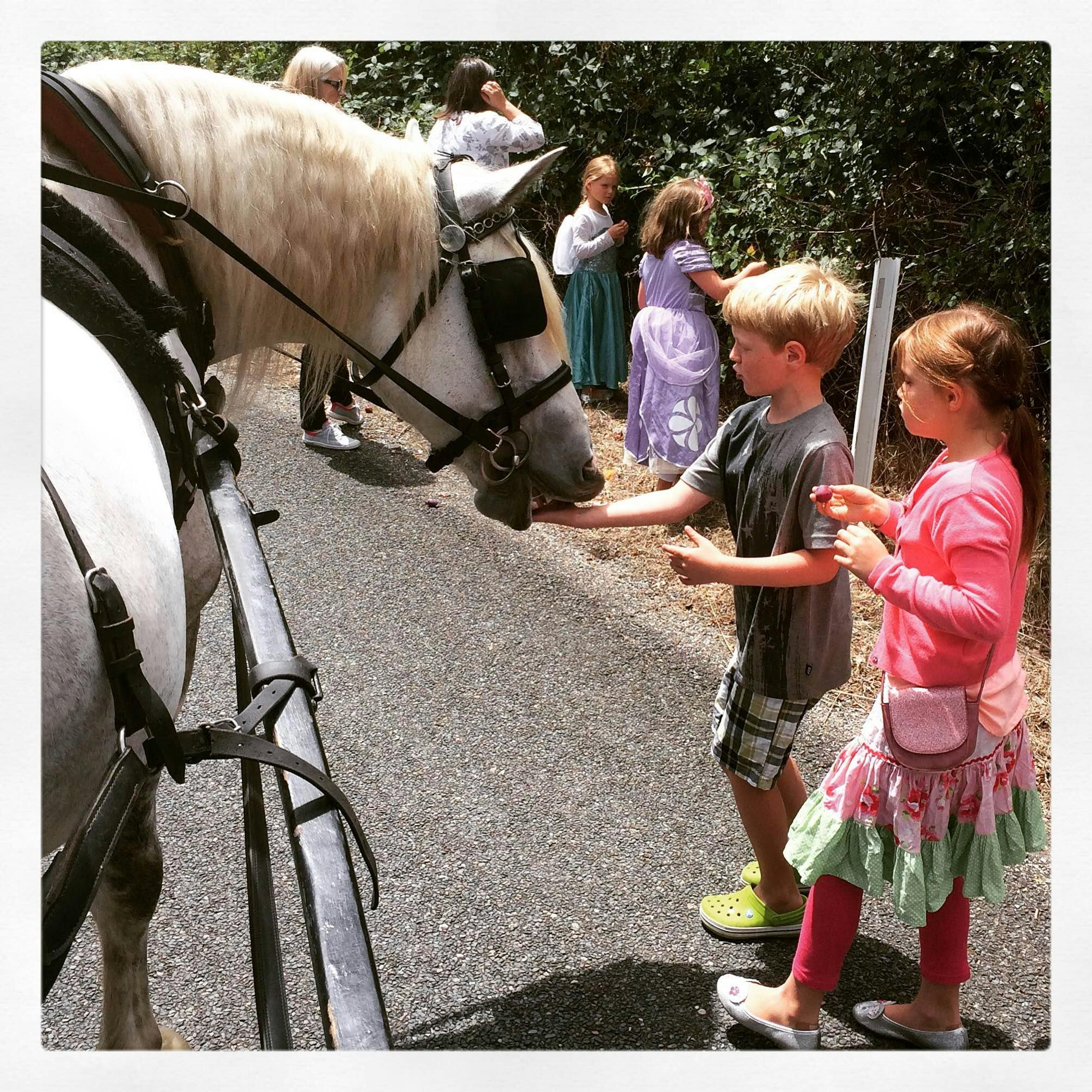 Montacute Valley Ride