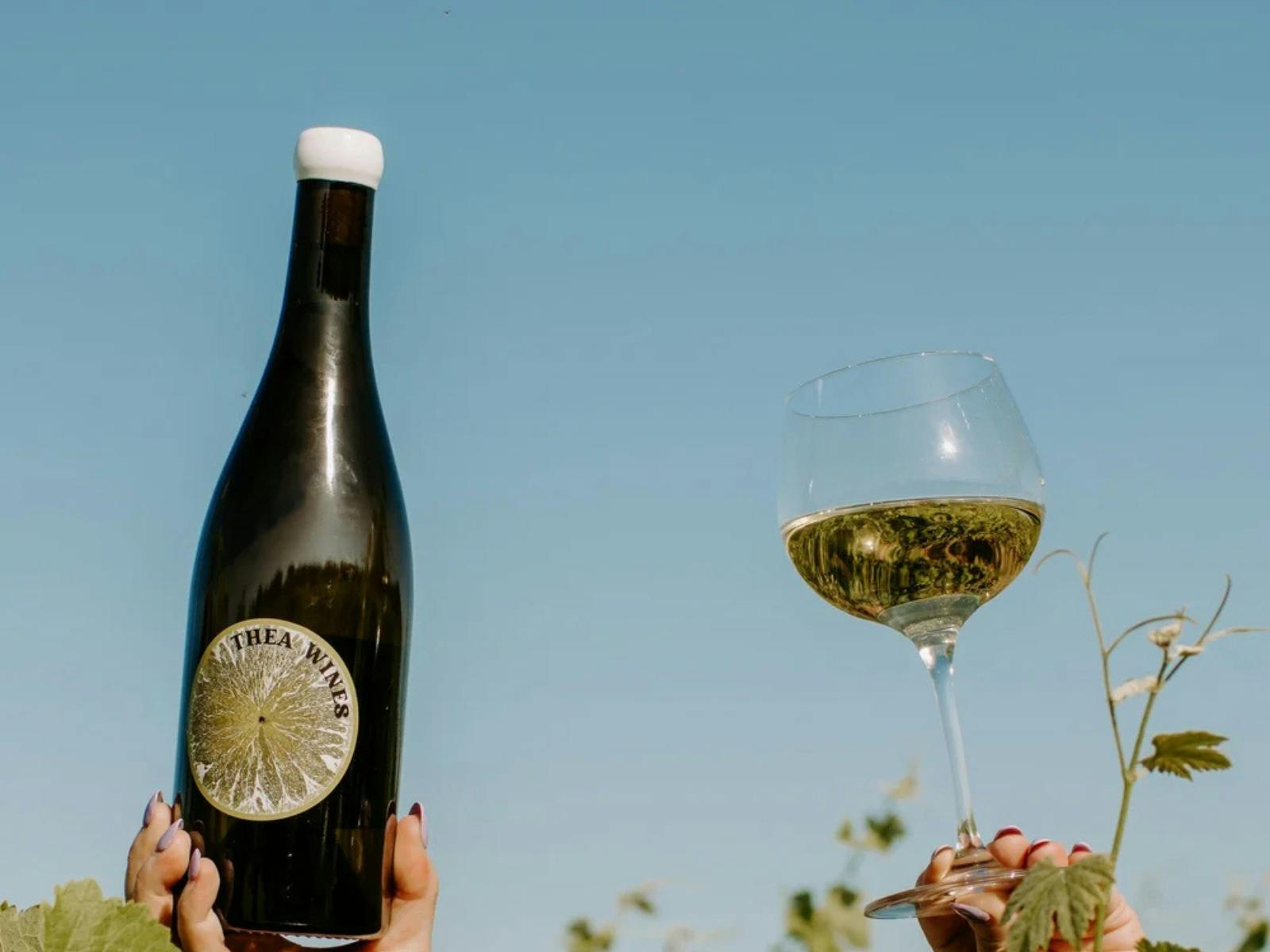 Thea Wines Image 2