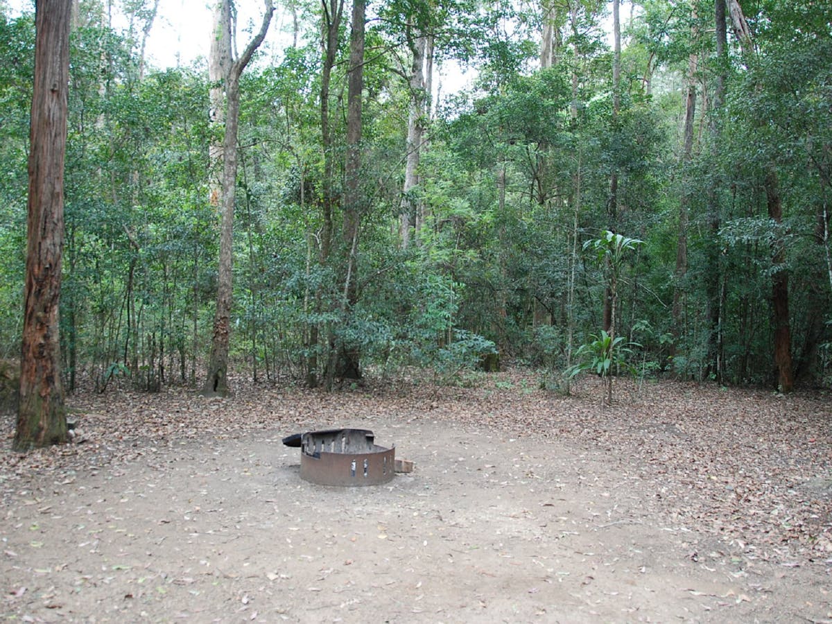 Campers at Neurum Creek Campgrounds can sit around a campfire Campers at Neurum Creek Campgrounds can sit around a campfire