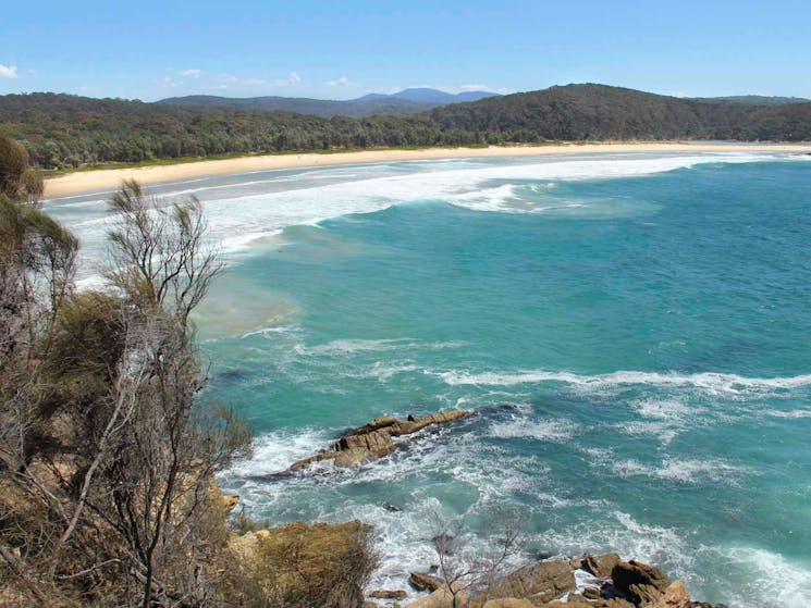 Wajurda Point Walking Track, Mimosa Rocks National Park. Photo: John Yurasek/NSW Government