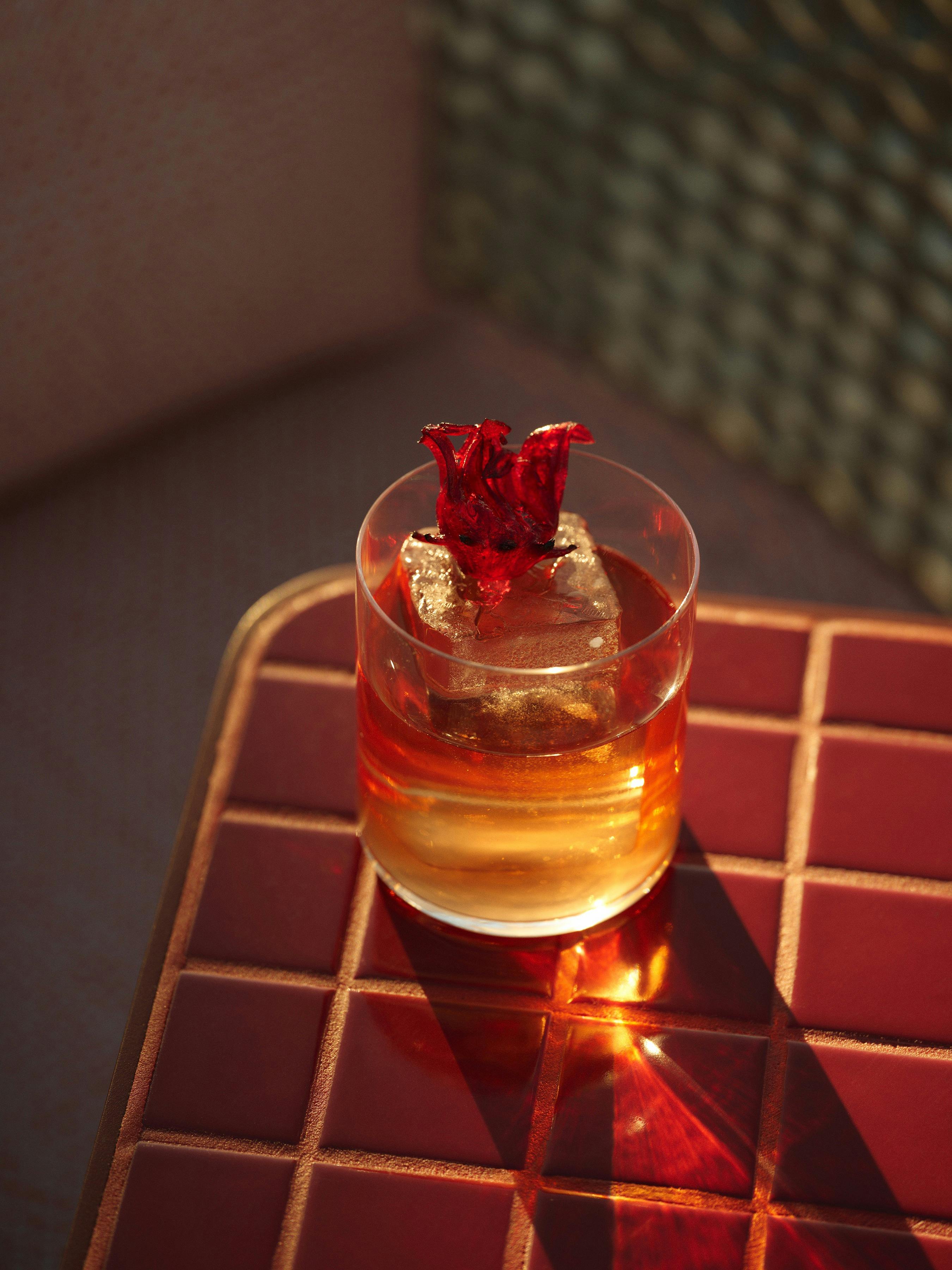 Negroni cocktail