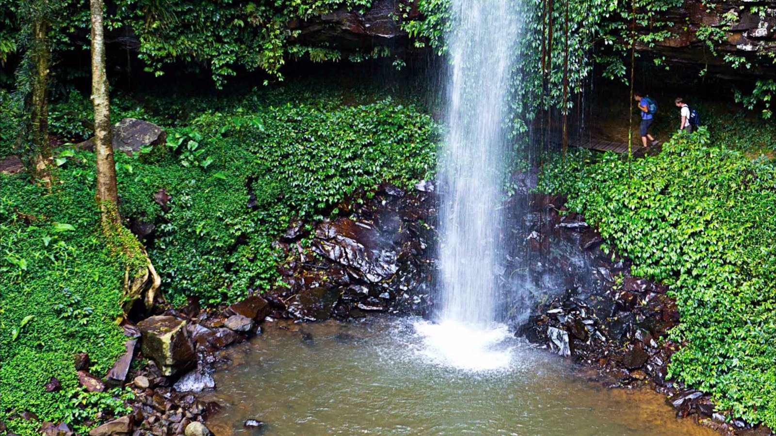 Crystal Shower Falls Walk