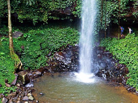 Crystal Shower Falls Walk