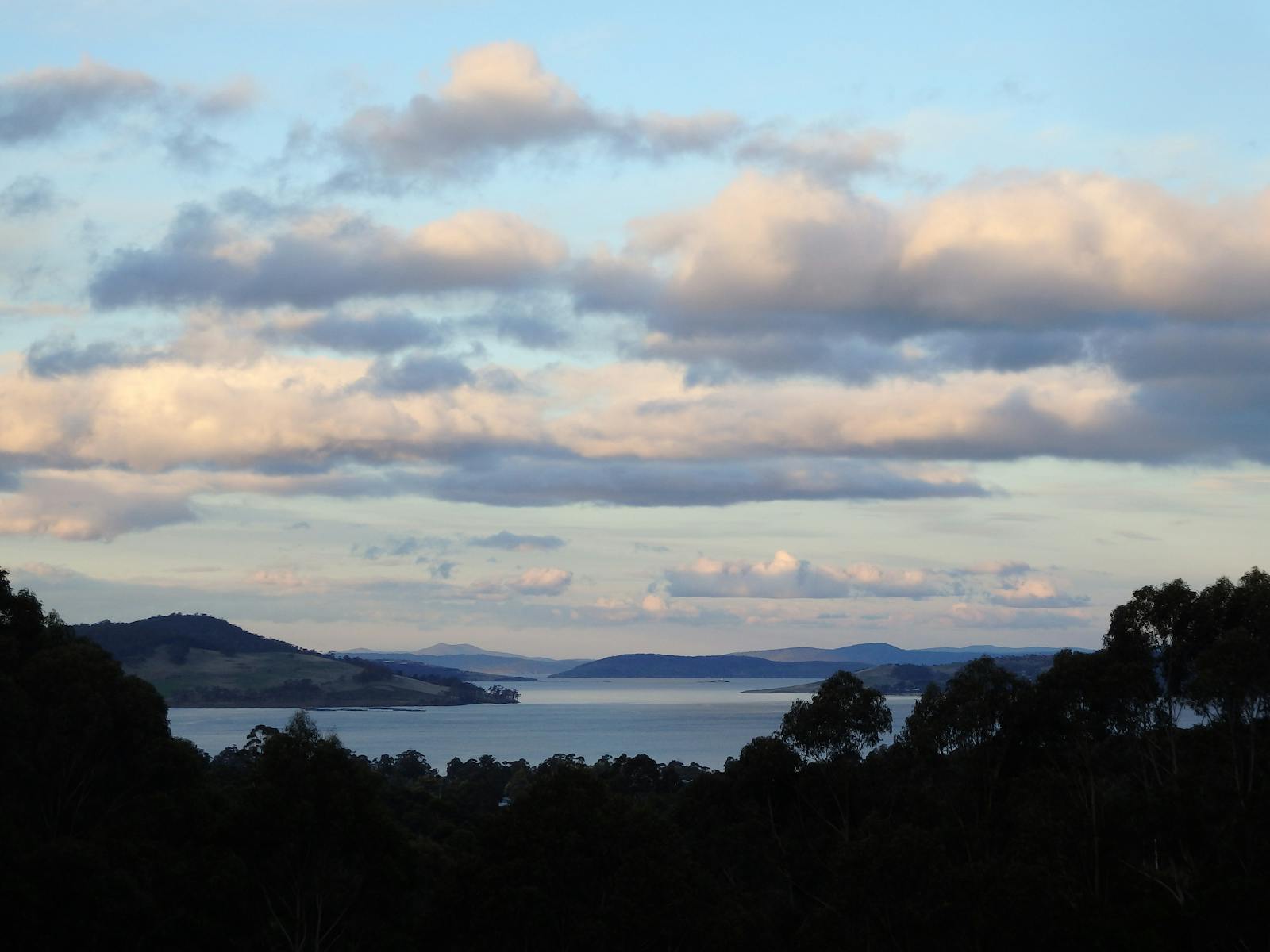 view of Storm Bay, trees in foreground, Tinderbox on left, Bruny Island on right