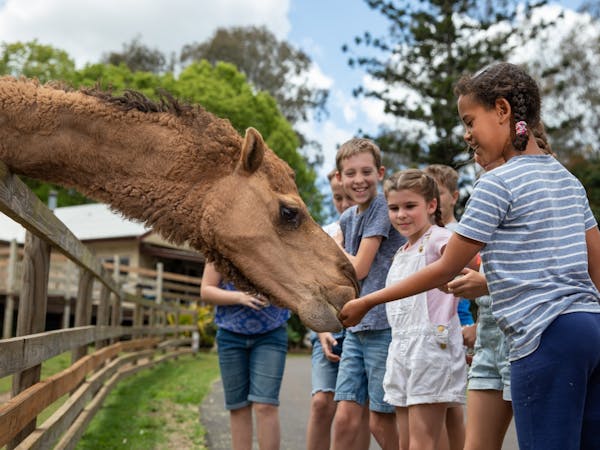 White Ridge Farm