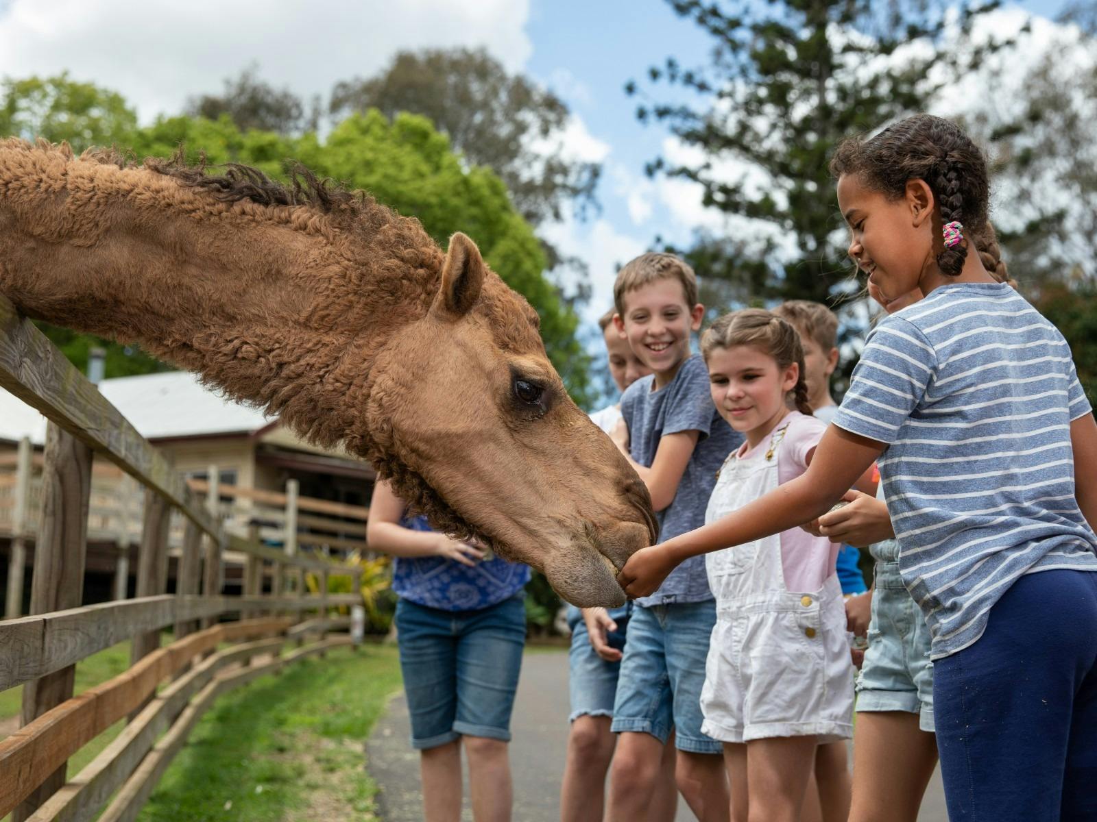 White Ridge Farm | Browse and Book Nearby Caravan Parks