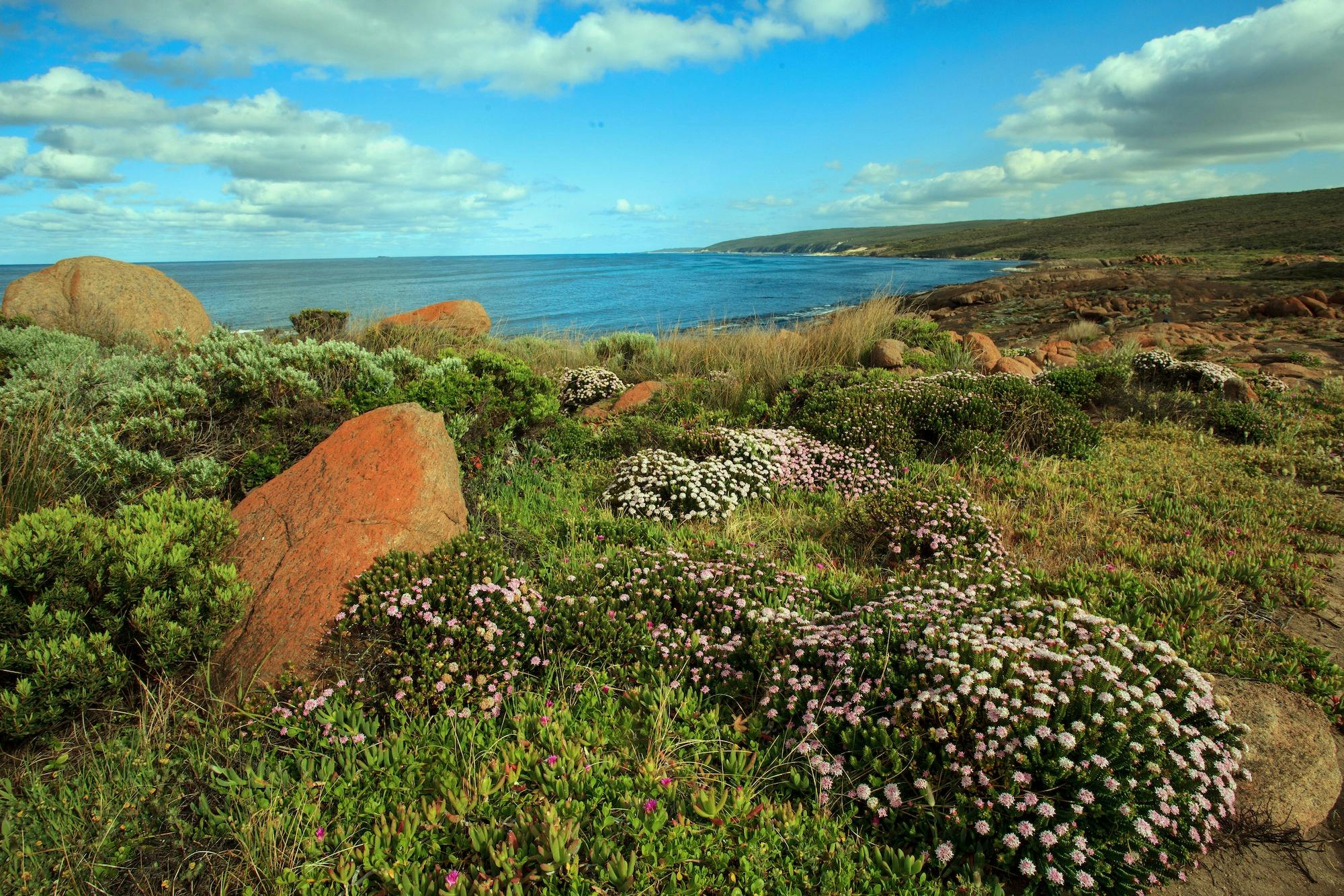 Cape Leeuwin