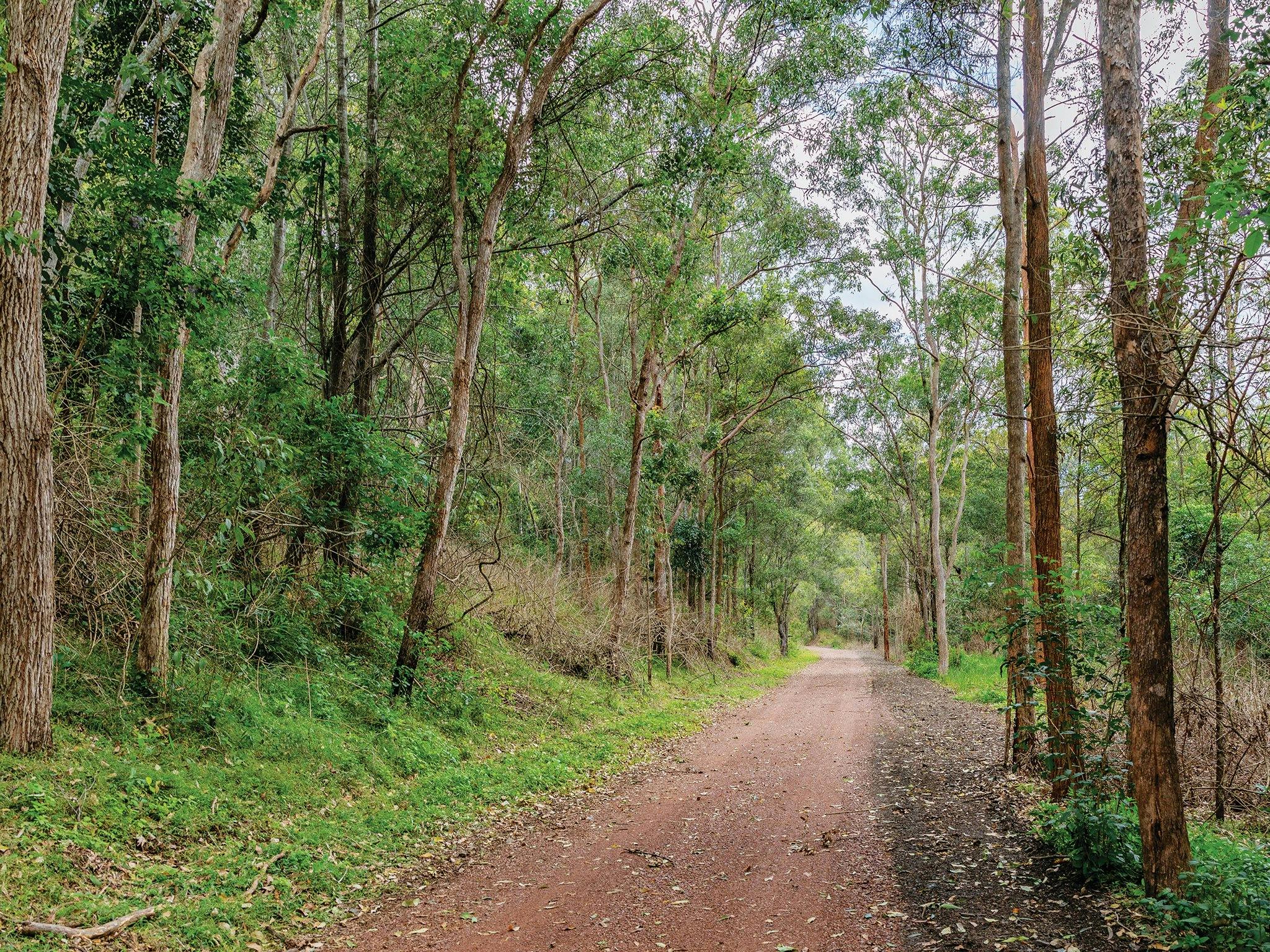 Mary Valley Rail Trail