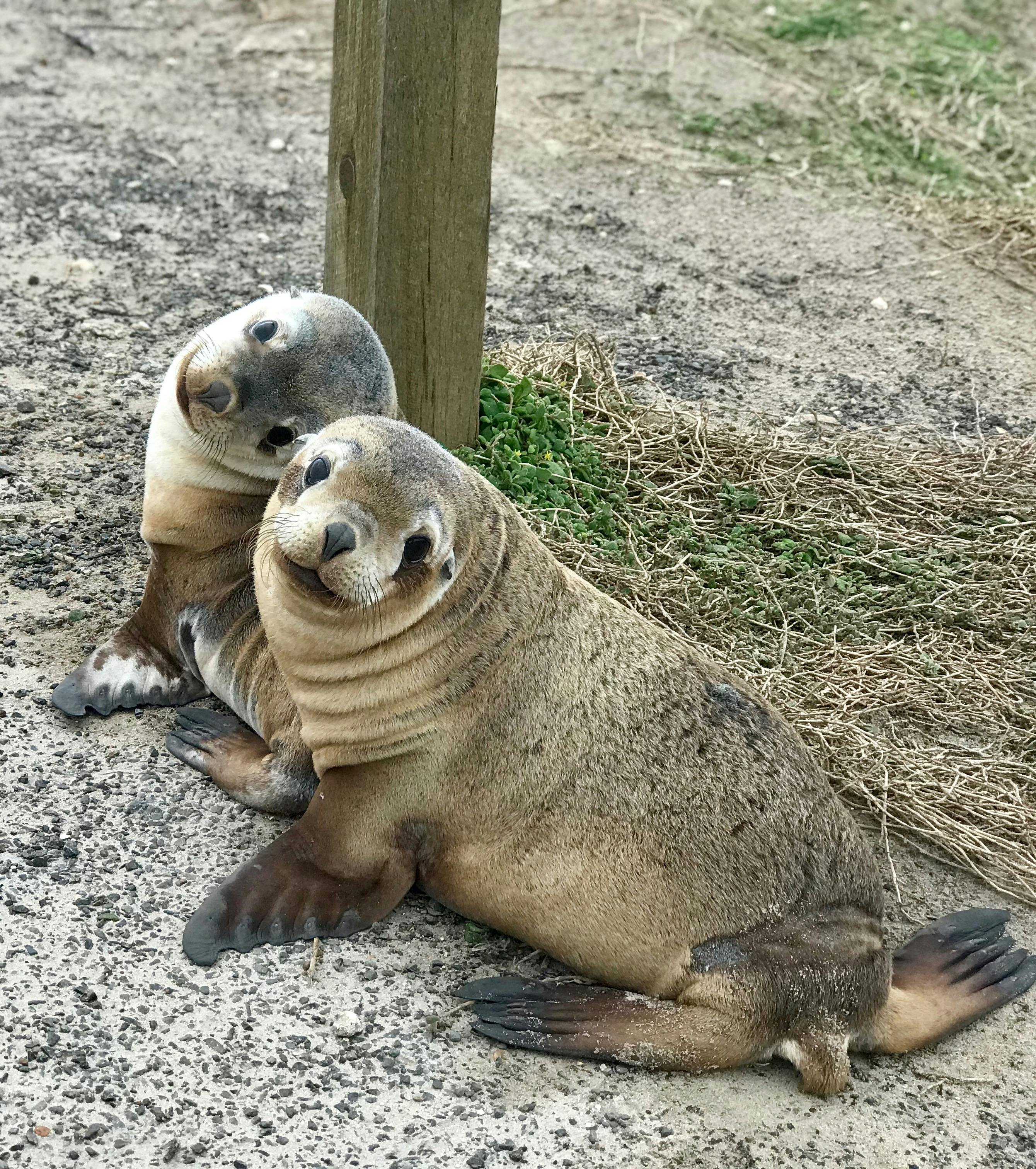 Kangaroo Island Trails