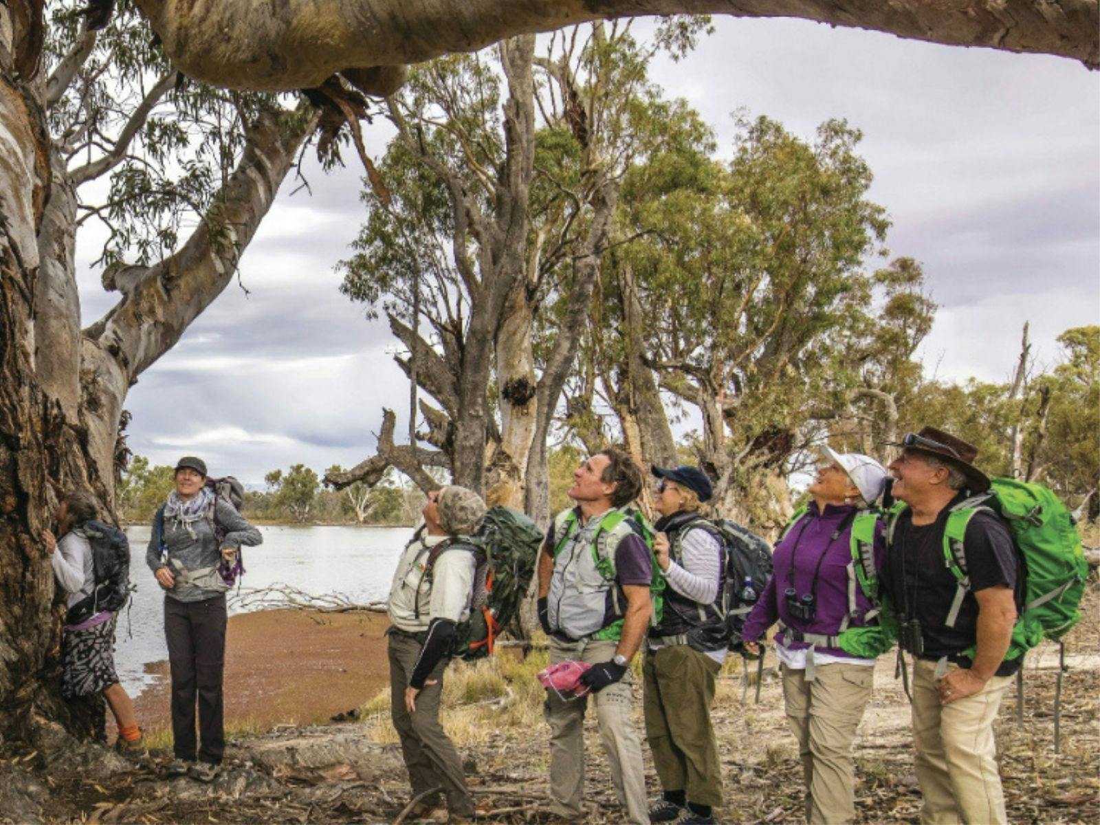 Murray River National Park Walk