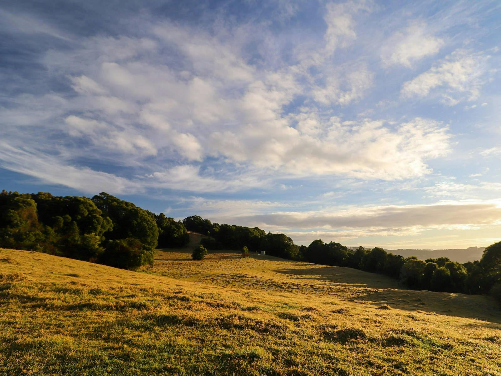 Focus on Southern Highlands Sydney, Australia Official Travel