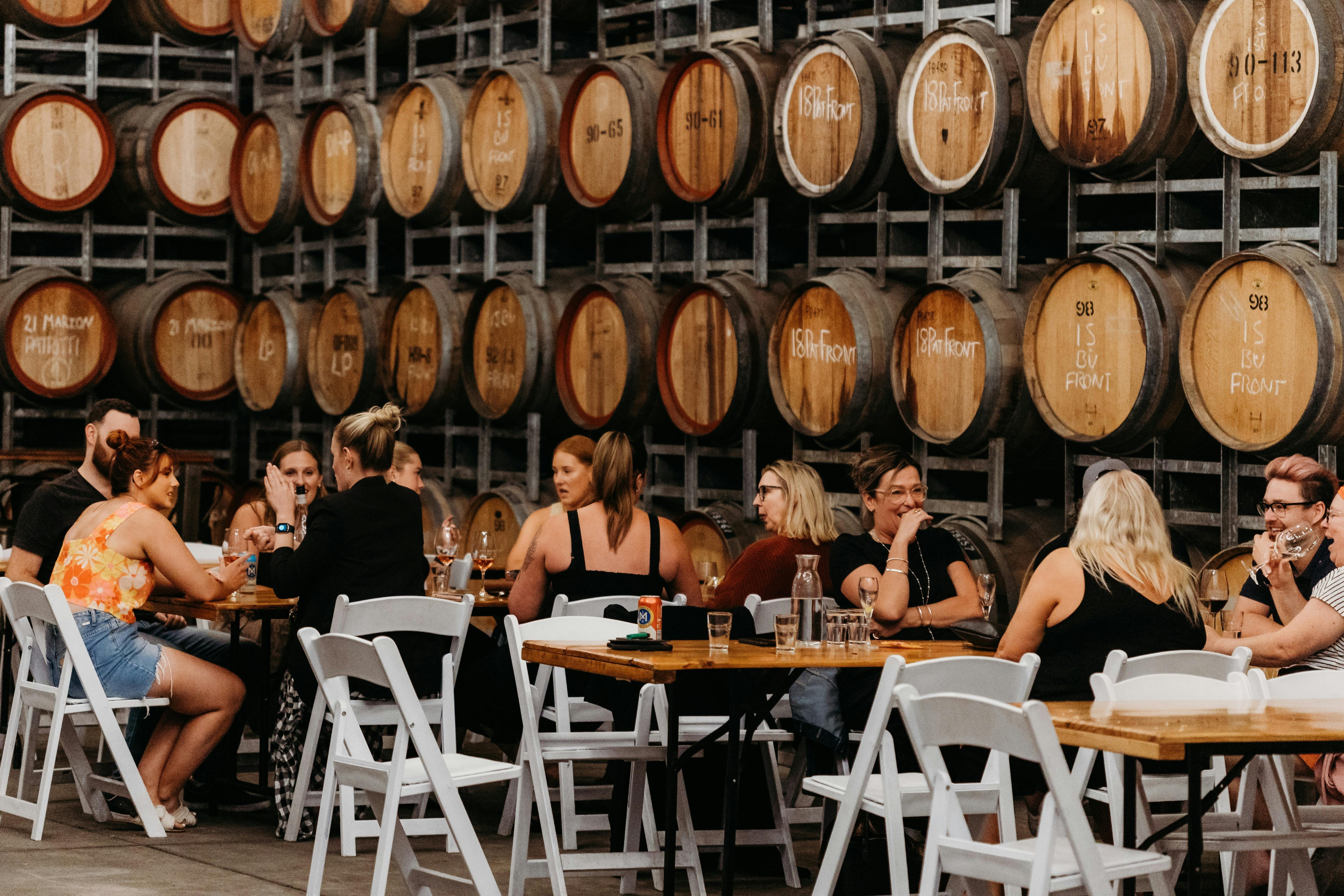 Sunday's at Cellar II